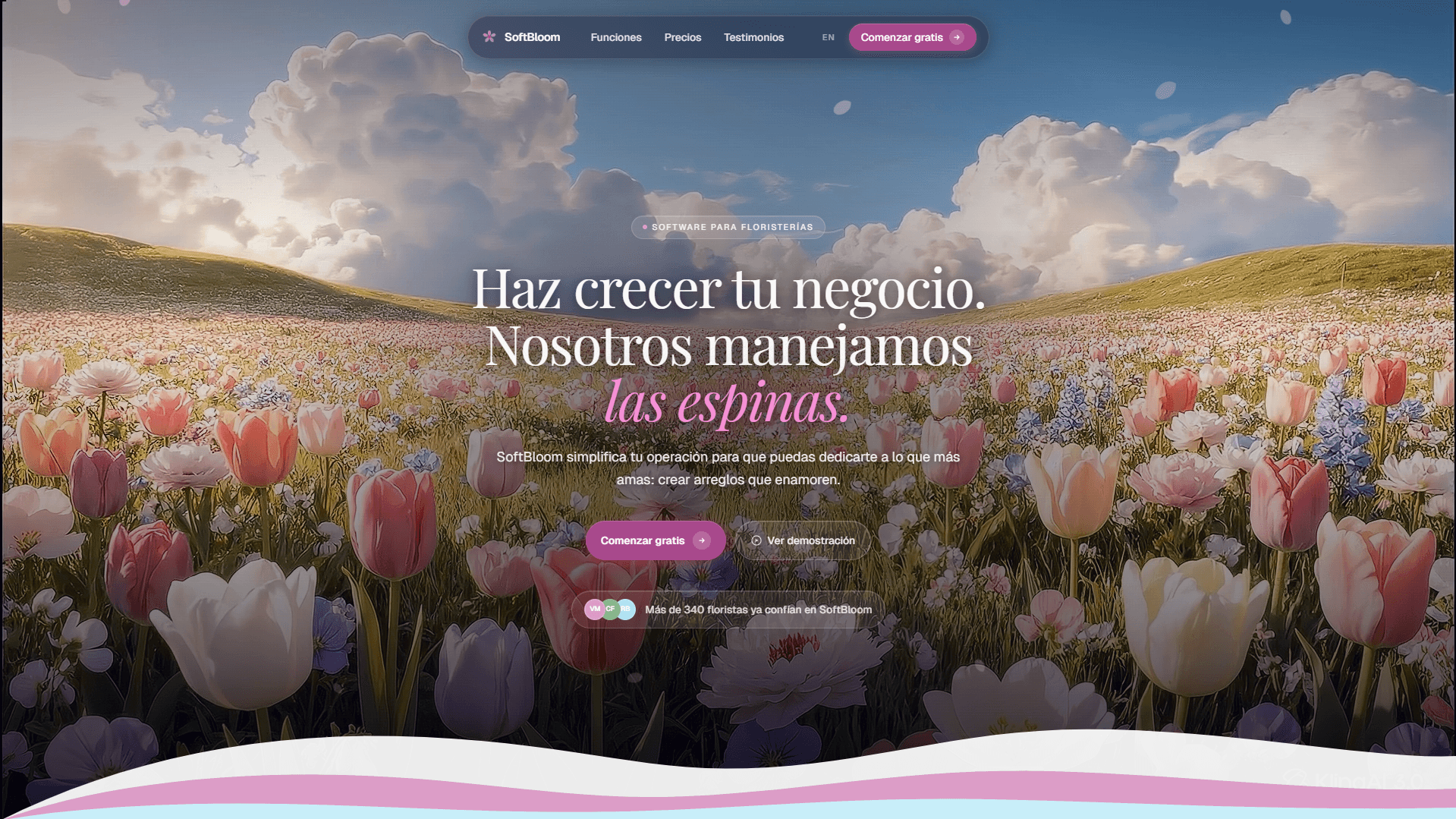 Desarrollo de plataformas SaaS project
